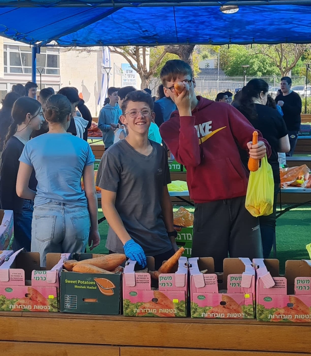Students with carrots and sweet potatoes at a school food rescue activity