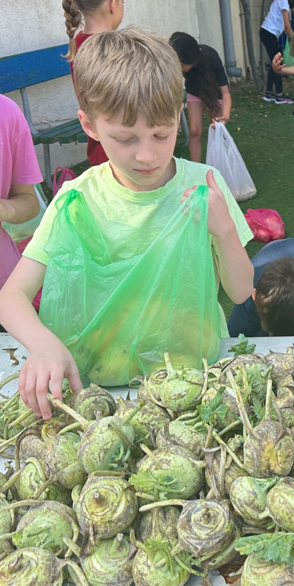 Student examining kohlrabi during a hands-on sorting activity